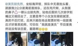 录音爆料许凯视频大全最新,揭秘明星背后的真相