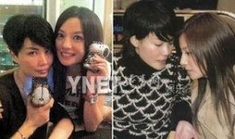 最新王菲爆料新闻事件,揭秘娱乐圈不为人知的秘密